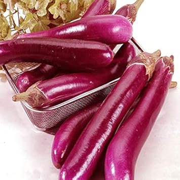 Purple Eggplant Sweet Vegetable Seeds for Planting - Heirloom and Non-GMO Garden Seeds